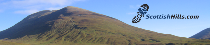 Repealessay 2003 phpbb group 03 picture