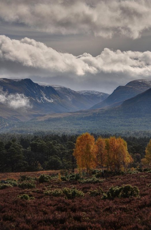 scottish hills